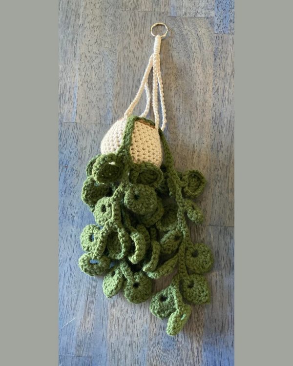Handmade Crocheted Hanging Pothos Planter Keychains